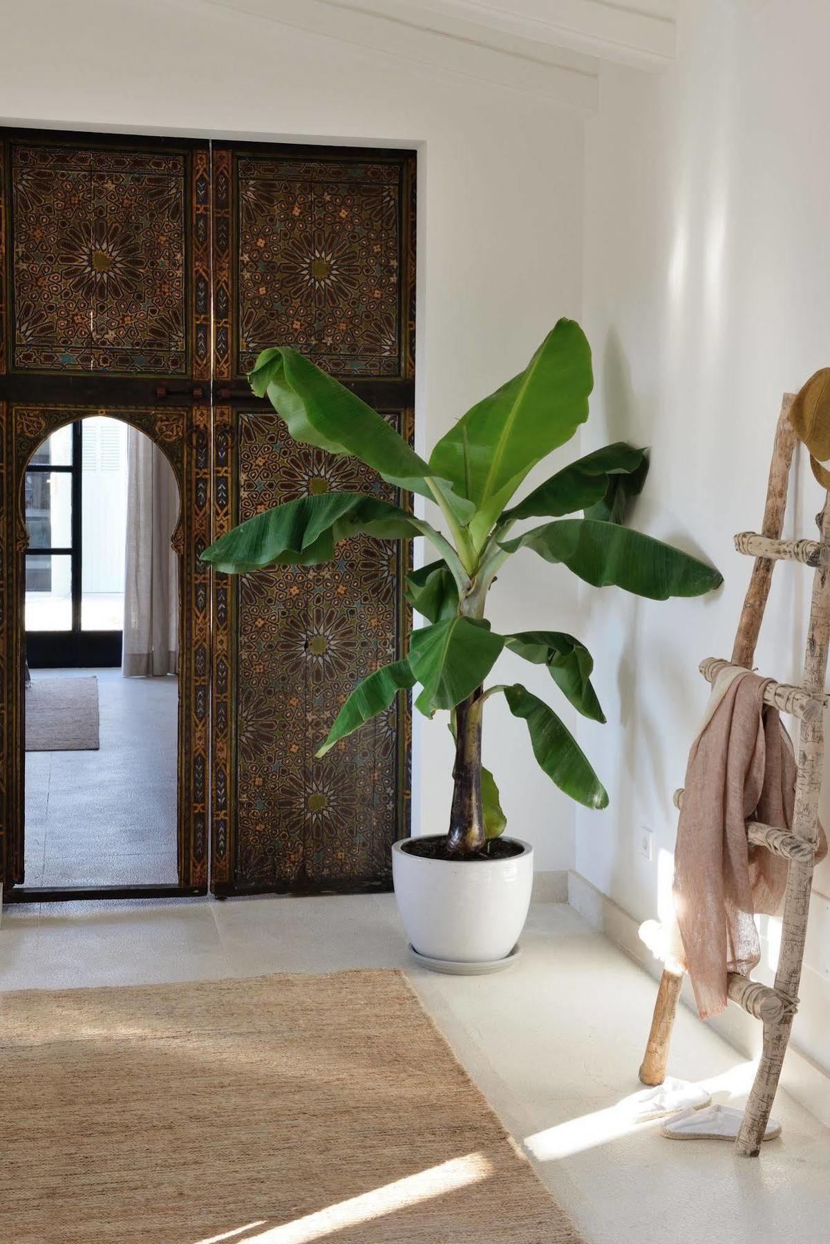 فندق Cal Reiet Holistic Retreat سنتاني المظهر الخارجي الصورة